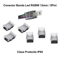 Conector Banda Led RGB 12mm 5 Pini 5 Fire - Magelectrocon